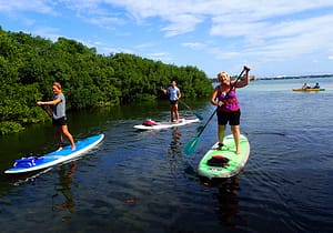 paddle boarding