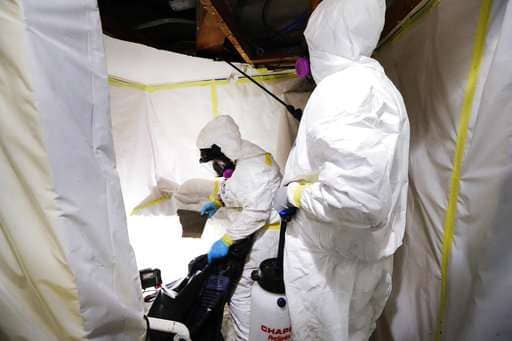 mold inspection