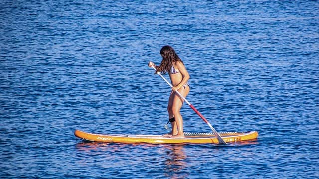 paddleboard