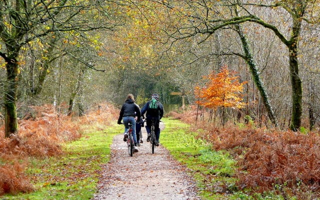 Bicycle